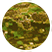 Pencott Greenzone